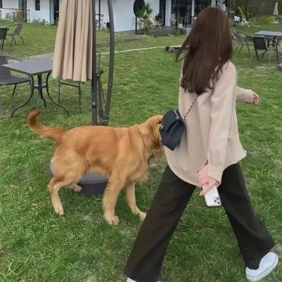 疑犯追踪第二季