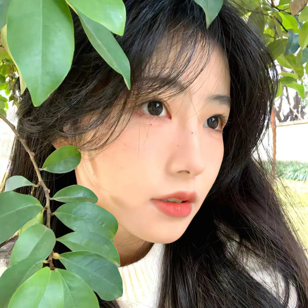 妖精的旋律